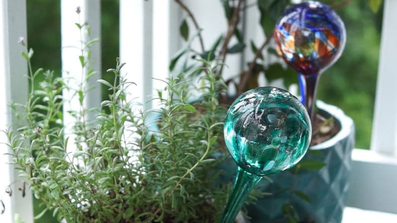 Auto-watering bulb
